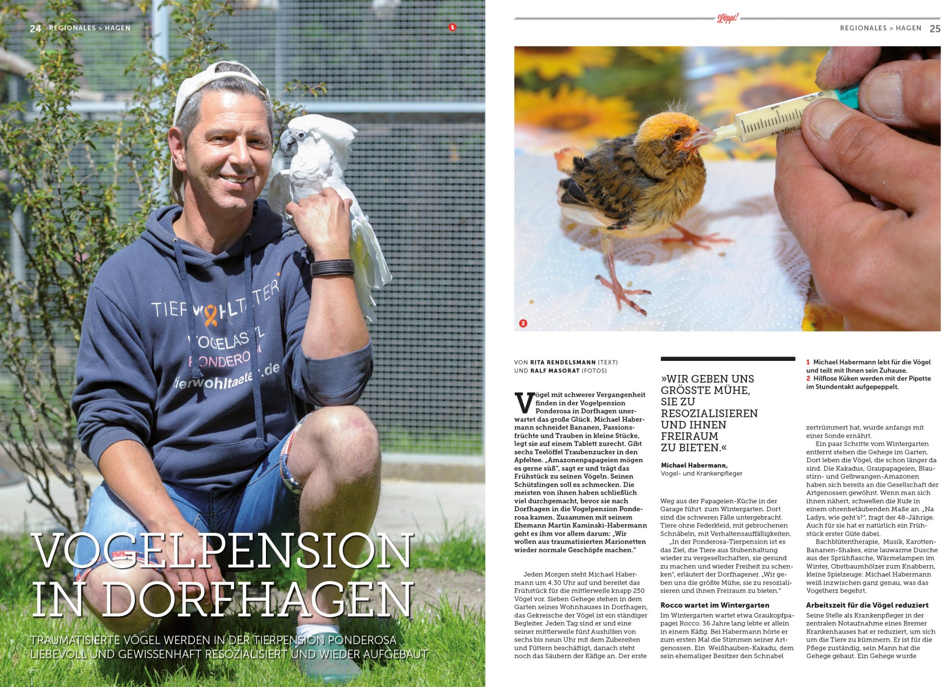 Löppt! Vogelpension in Dorfhagen (09/18) Ralf Masorat